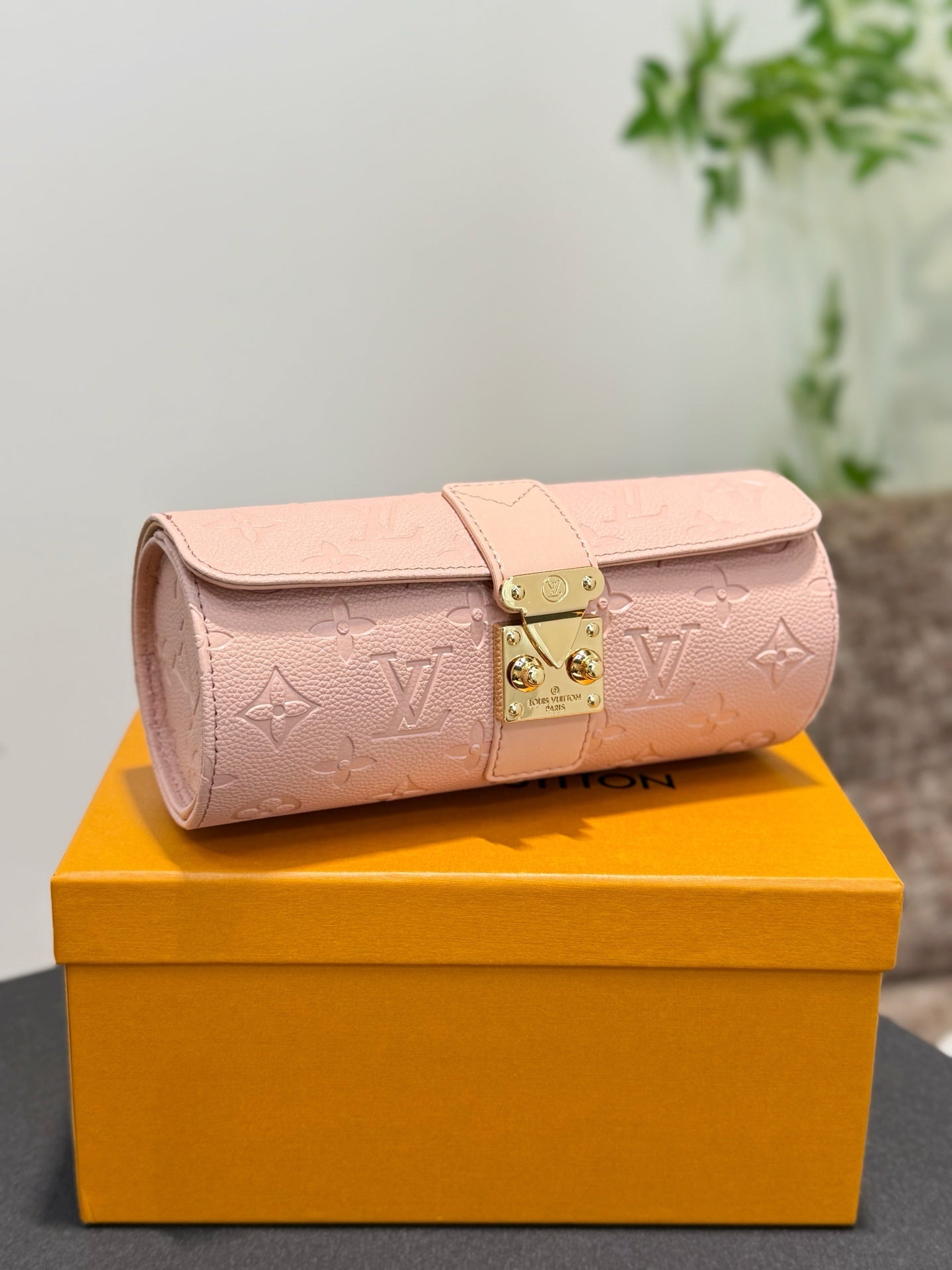 Jewelry and Watch Storage Box