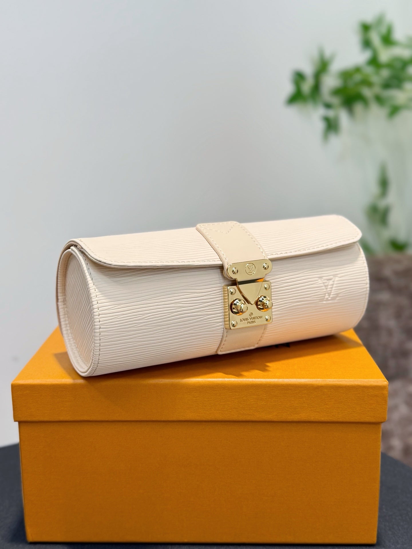 Jewelry and Watch Storage Box