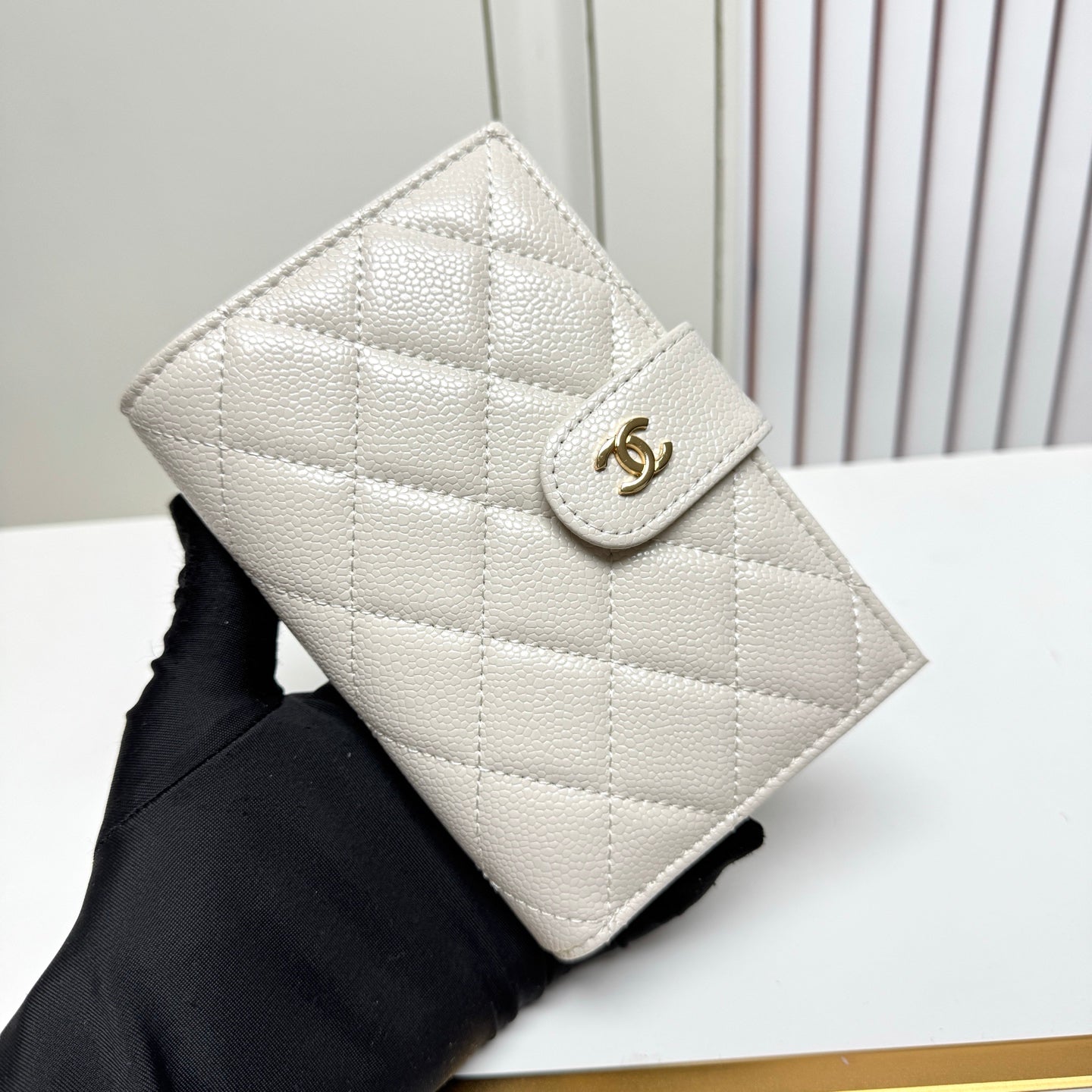 CC Wallet &paassport holder