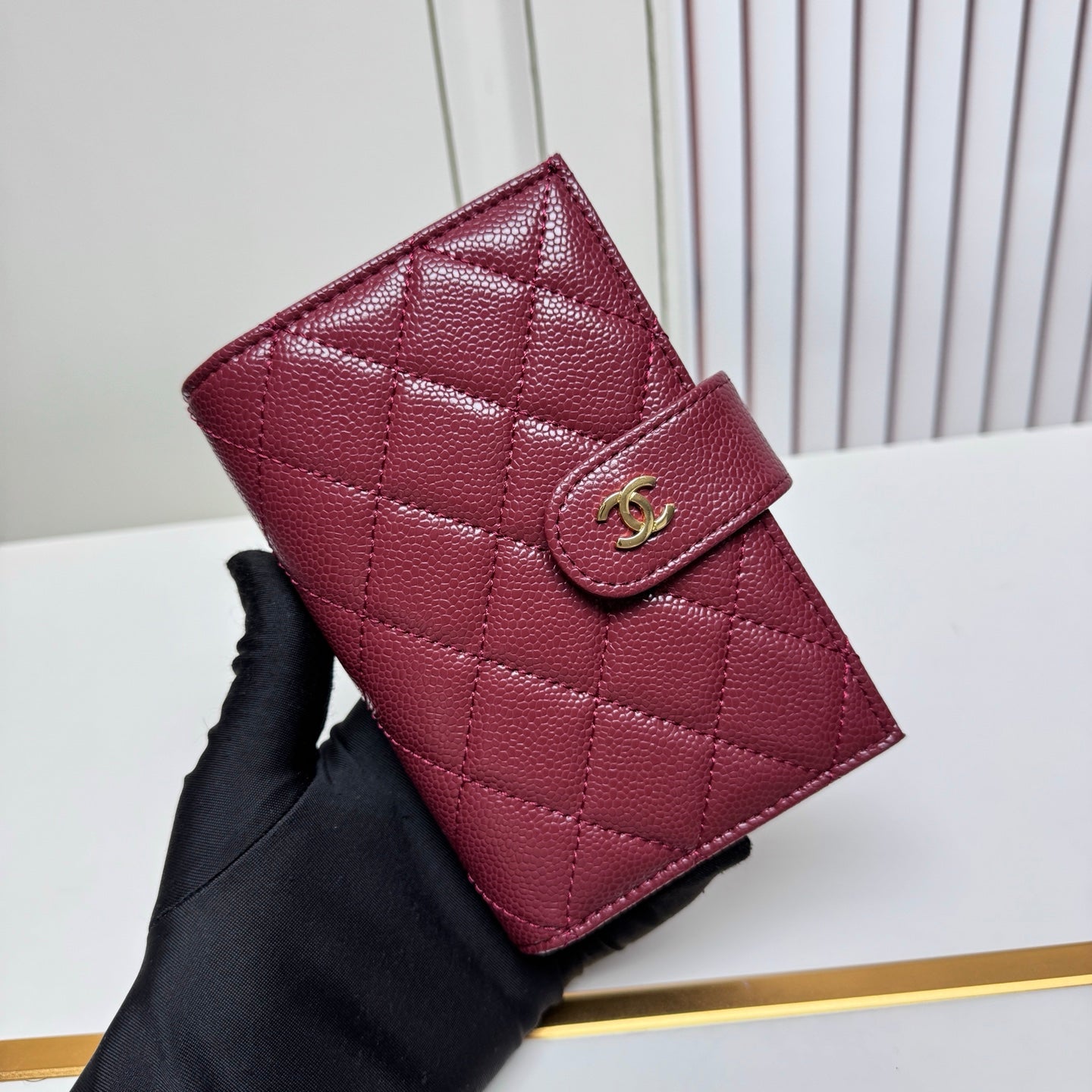 CC Wallet &paassport holder