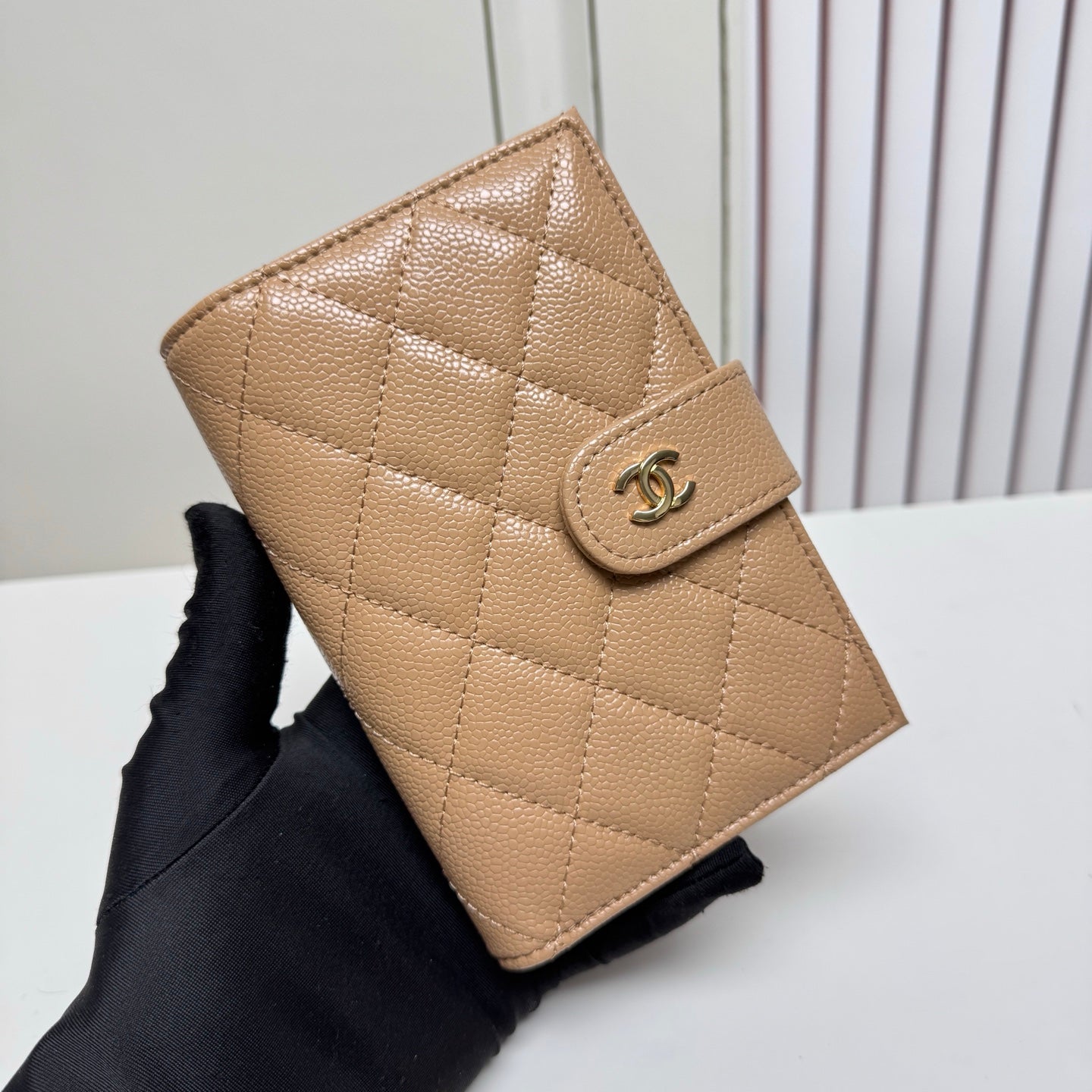 CC Wallet &paassport holder