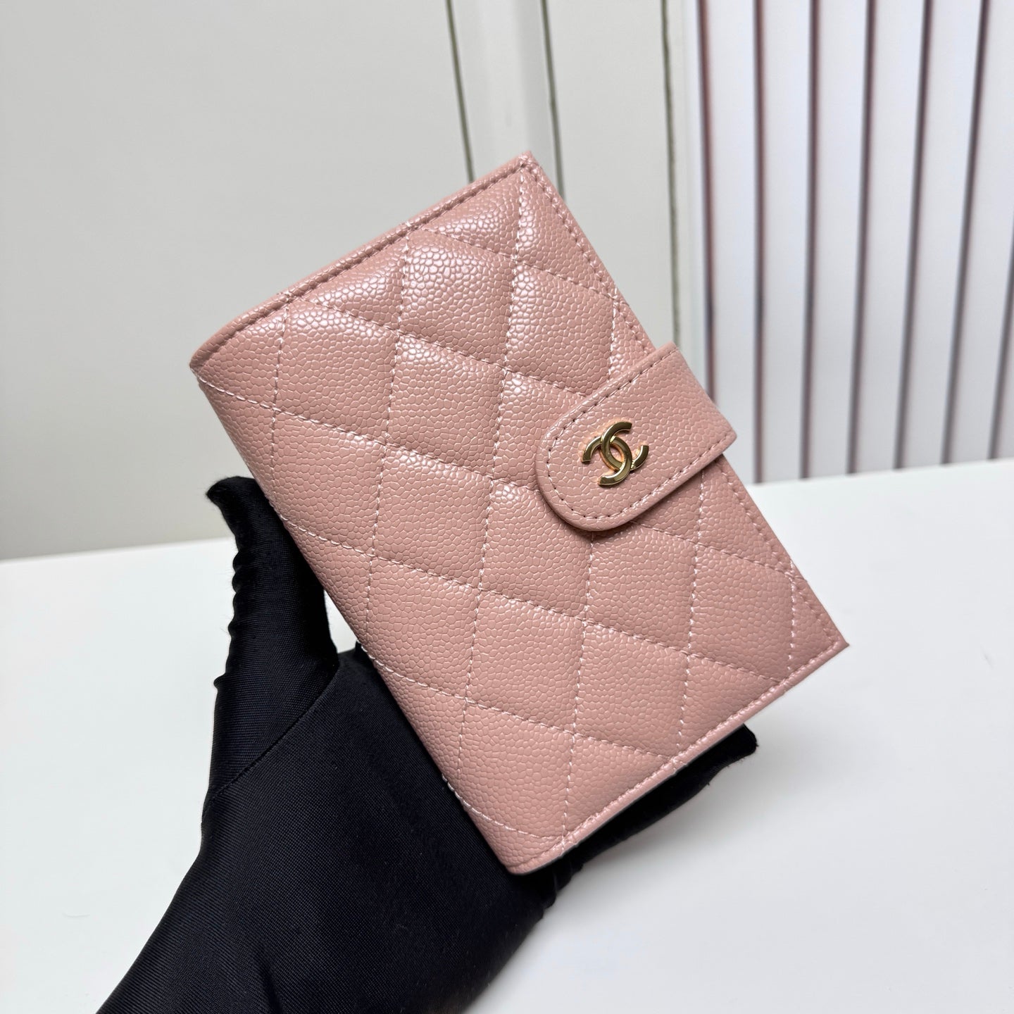 CC Wallet &paassport holder