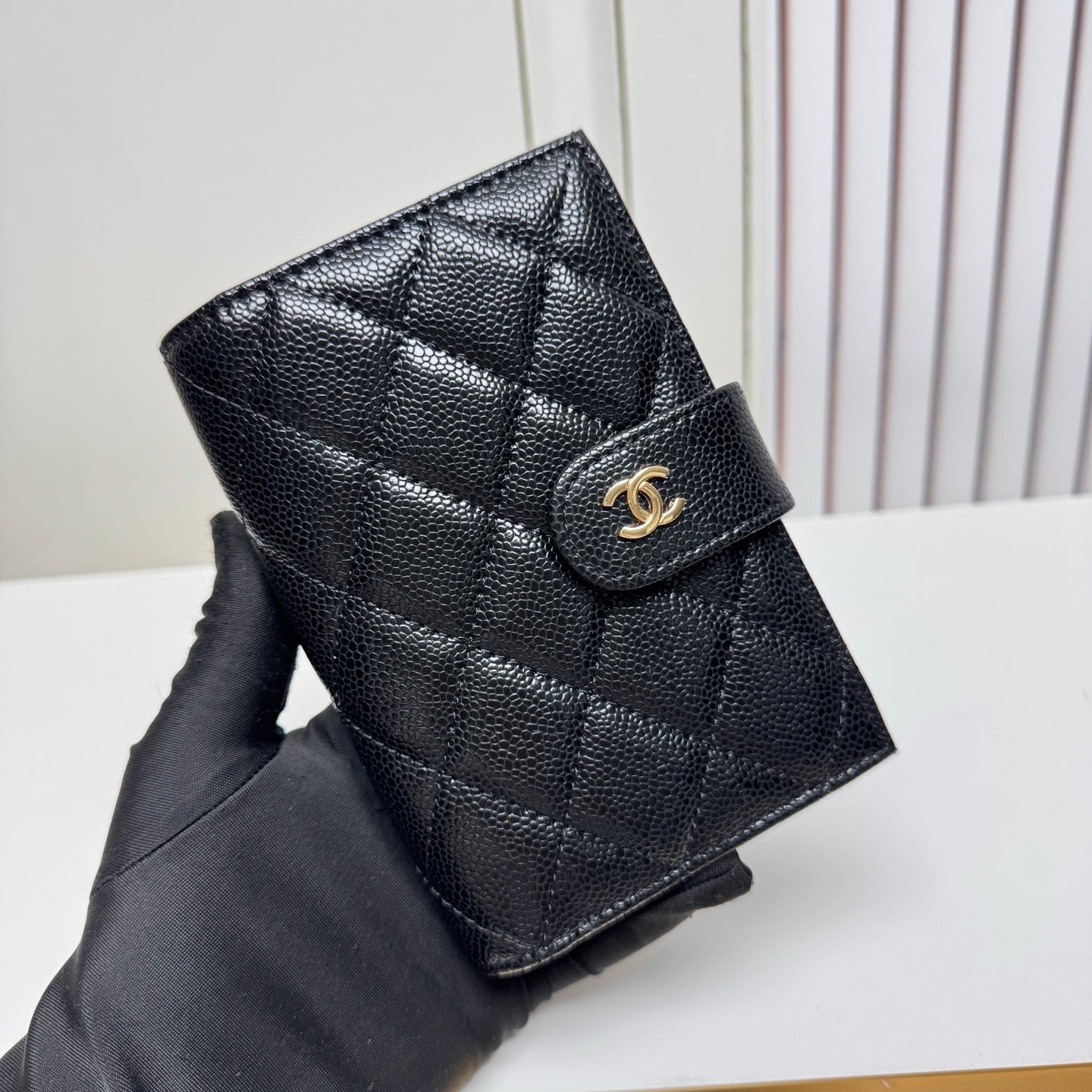 CC Wallet &paassport holder